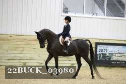 22BUCK_03980 proof