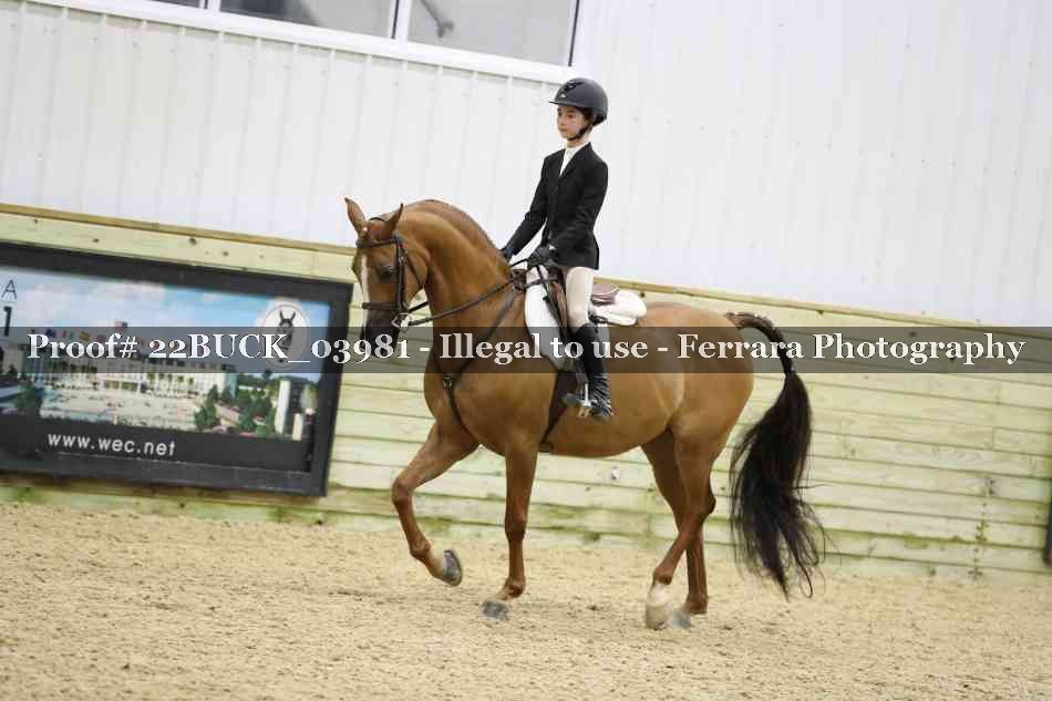 Proof 22BUCK_03981