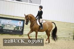 22BUCK_03981 proof