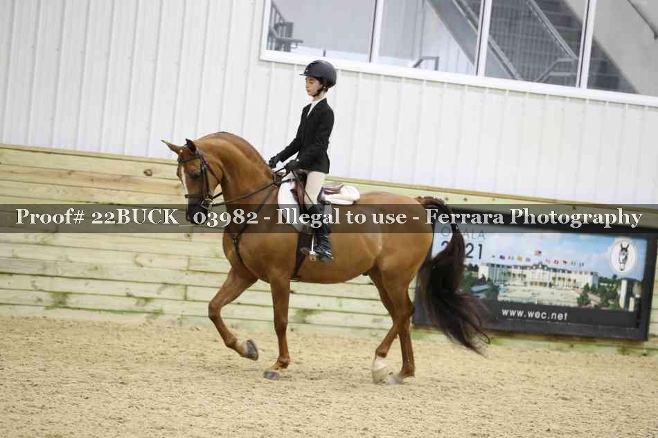 Proof 22BUCK_03982