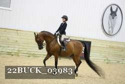 22BUCK_03983 proof