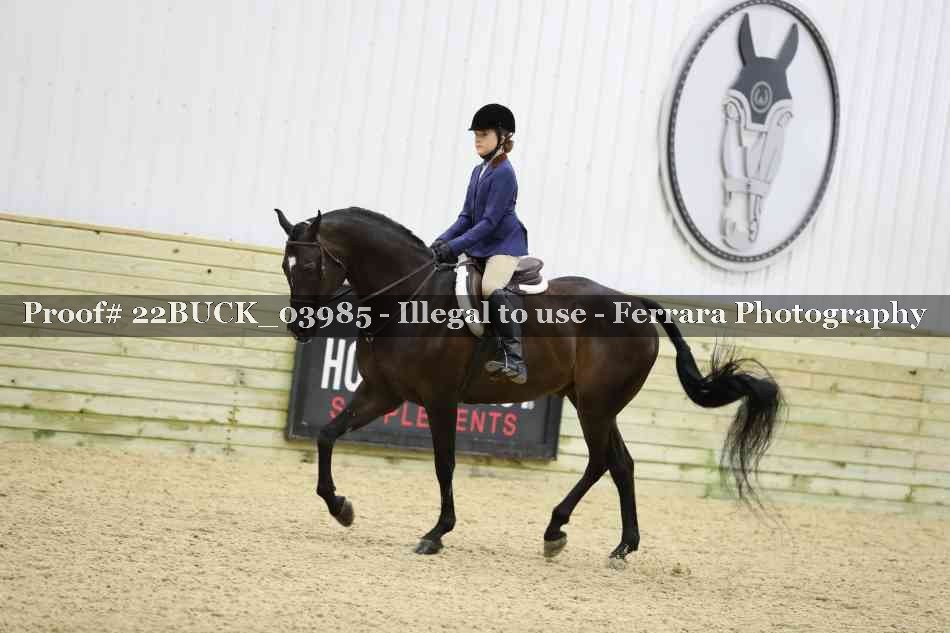 Proof 22BUCK_03985