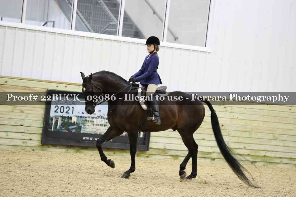 Proof 22BUCK_03986