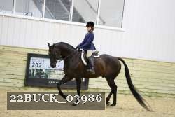 22BUCK_03986 proof