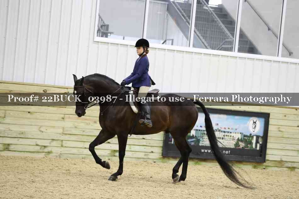 Proof 22BUCK_03987
