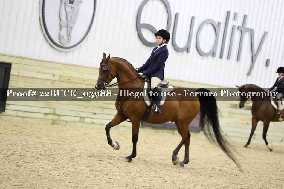 Proof 22BUCK_03988