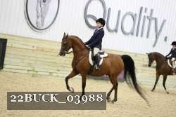 22BUCK_03988 proof