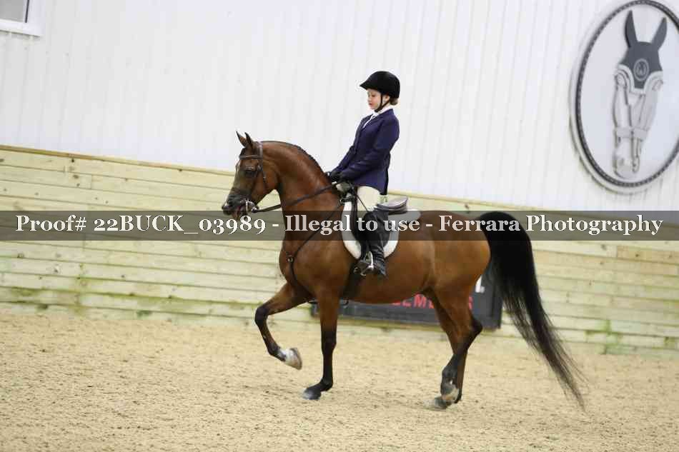 Proof 22BUCK_03989