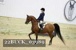 22BUCK_03989 proof