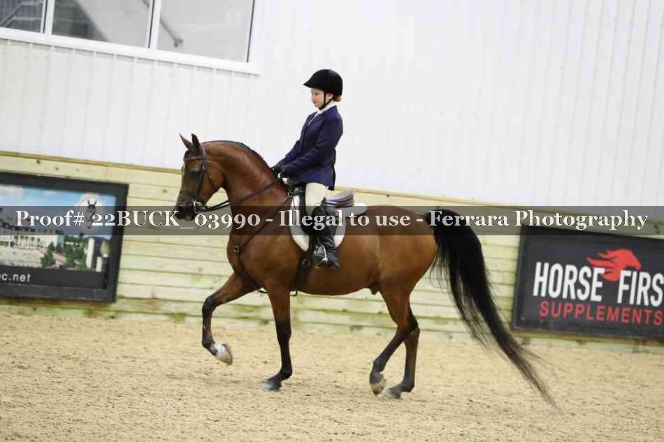 Proof 22BUCK_03990