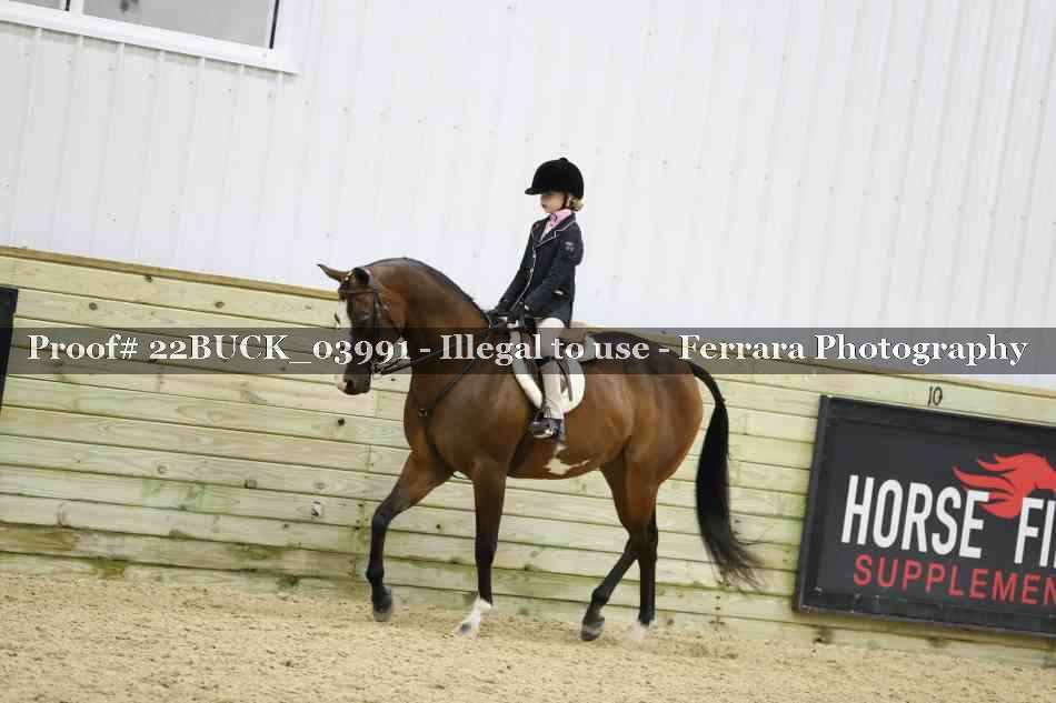 Proof 22BUCK_03991