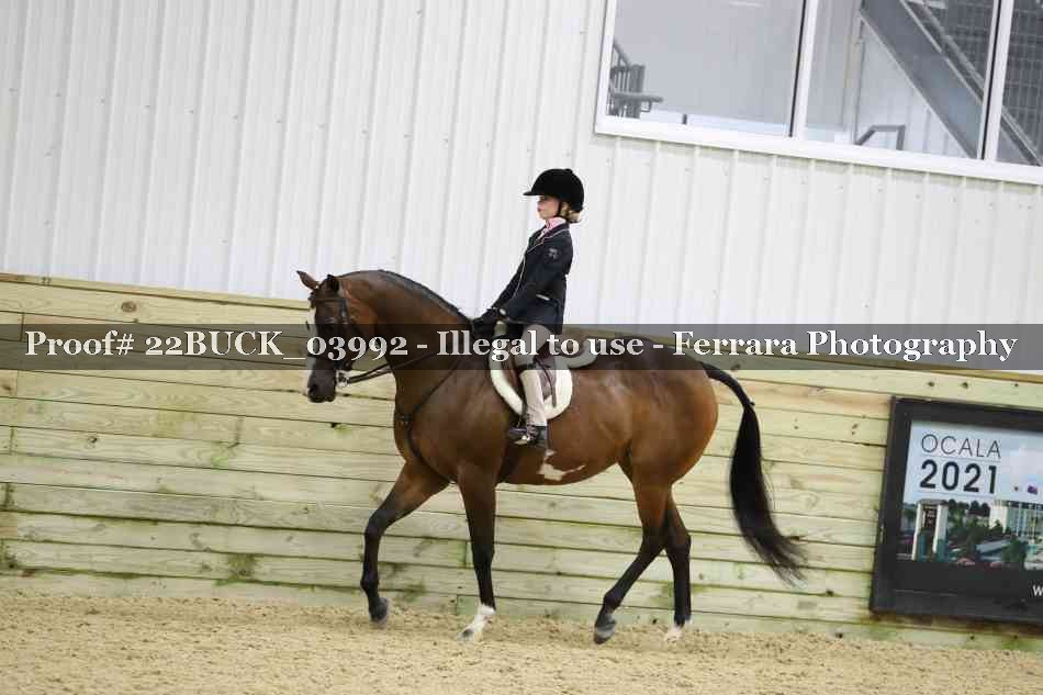Proof 22BUCK_03992
