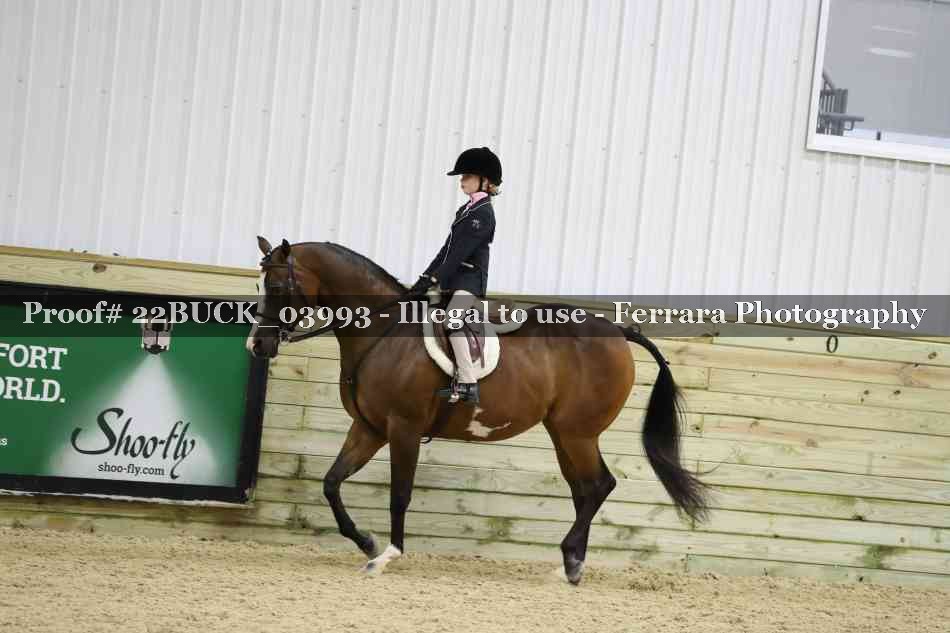 Proof 22BUCK_03993
