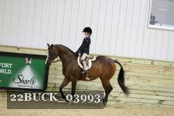 22BUCK_03993 proof