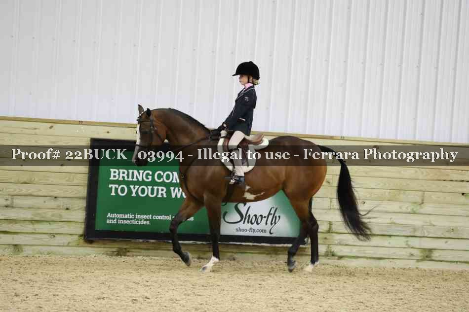 Proof 22BUCK_03994