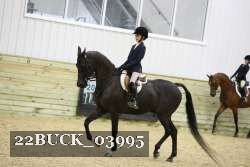 22BUCK_03995 proof