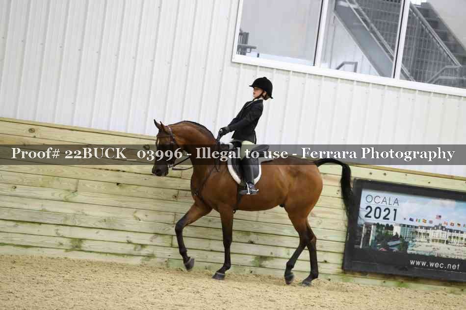 Proof 22BUCK_03996