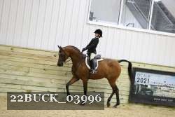 22BUCK_03996 proof