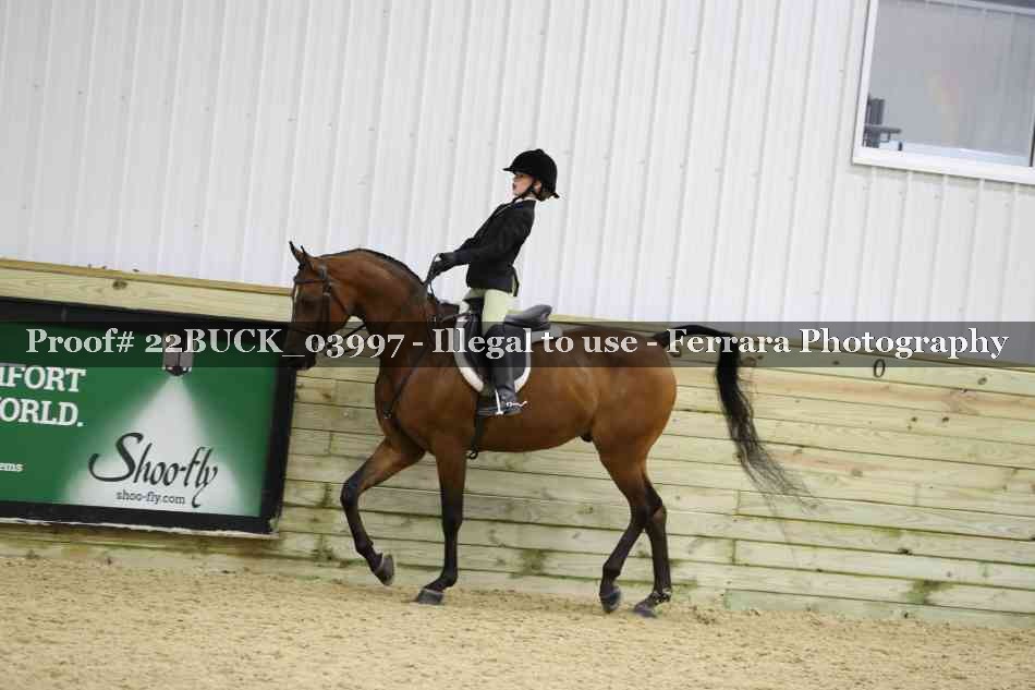 Proof 22BUCK_03997