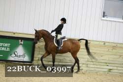 22BUCK_03997 proof