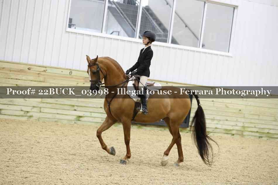 Proof 22BUCK_03998