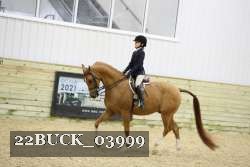 22BUCK_03999 proof