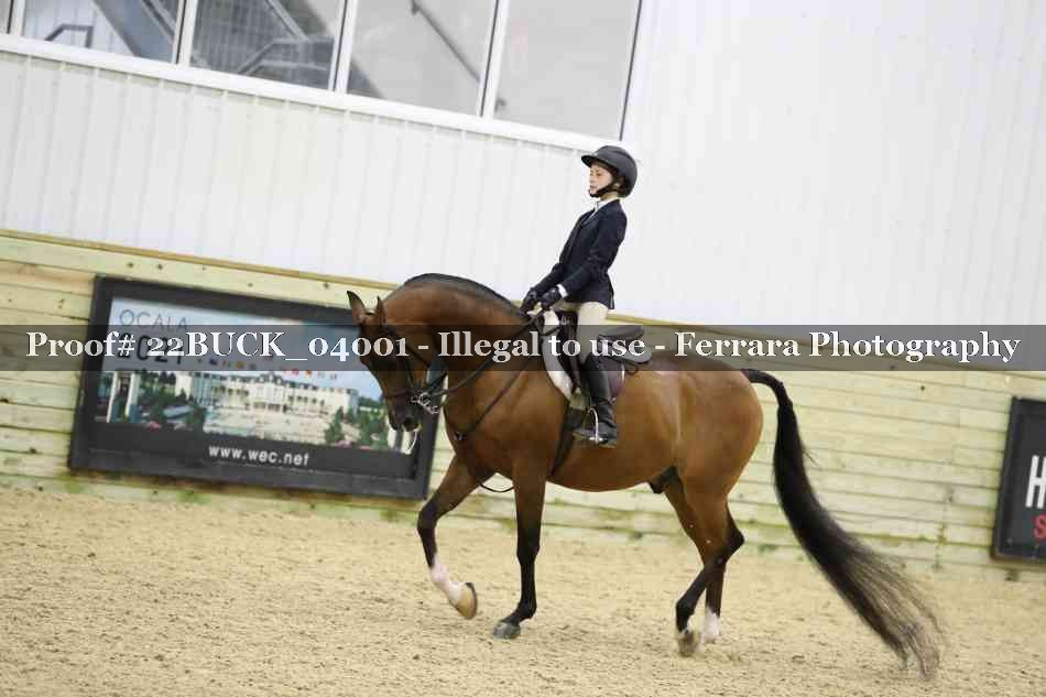 Proof 22BUCK_04001
