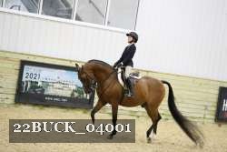 22BUCK_04001 proof
