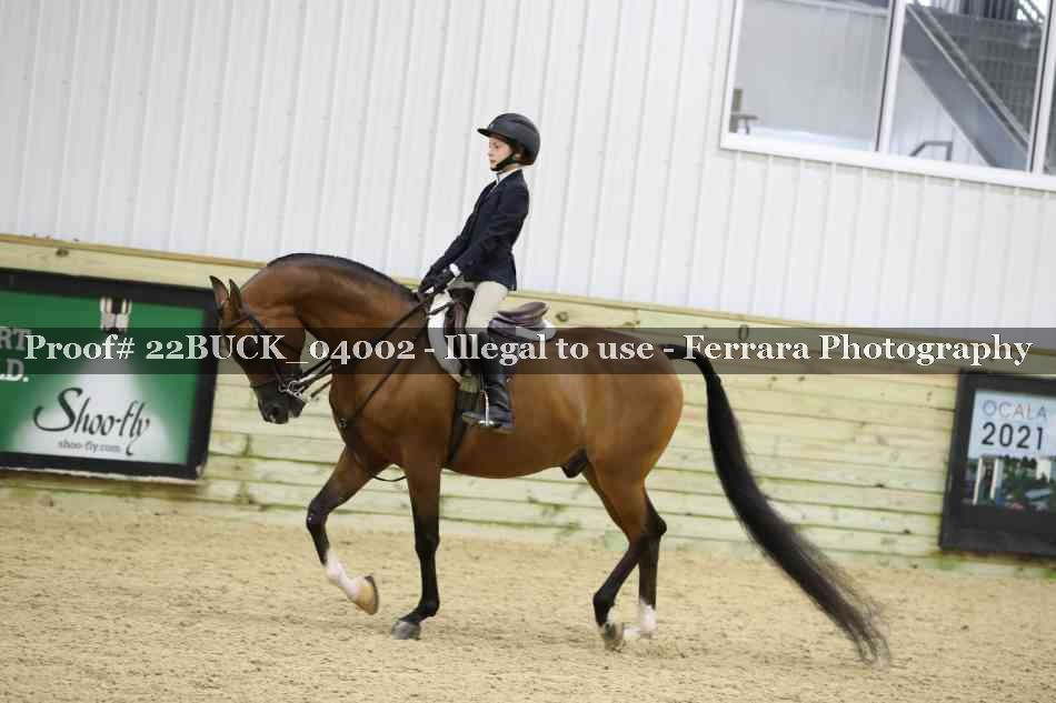 Proof 22BUCK_04002