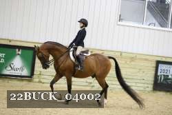22BUCK_04002 proof