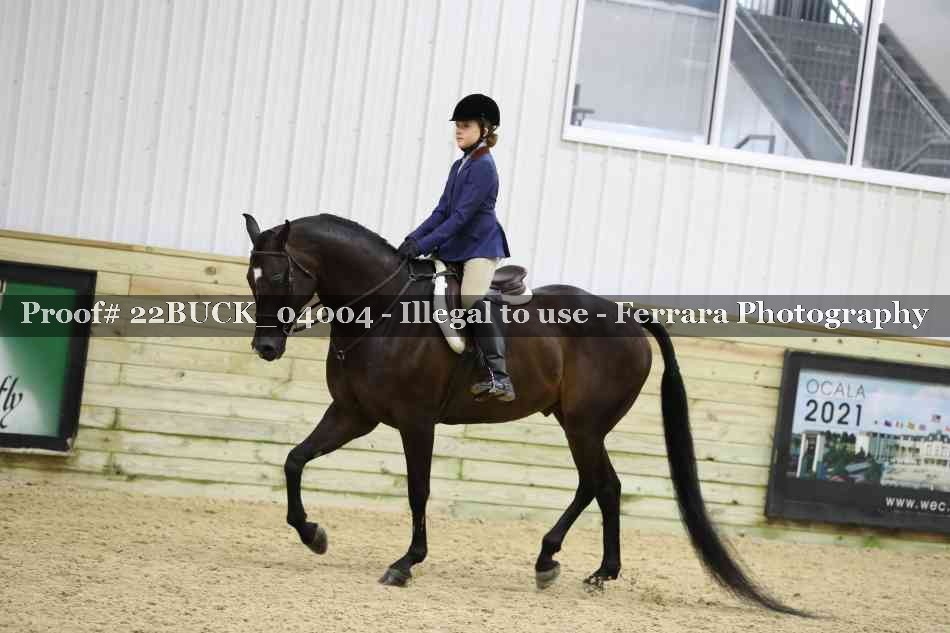 Proof 22BUCK_04004