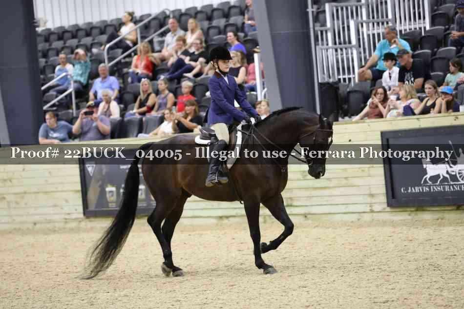 Proof 22BUCK_04005