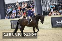 22BUCK_04005 proof