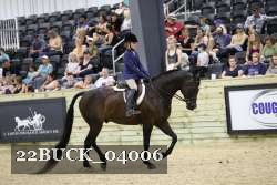 22BUCK_04006 proof