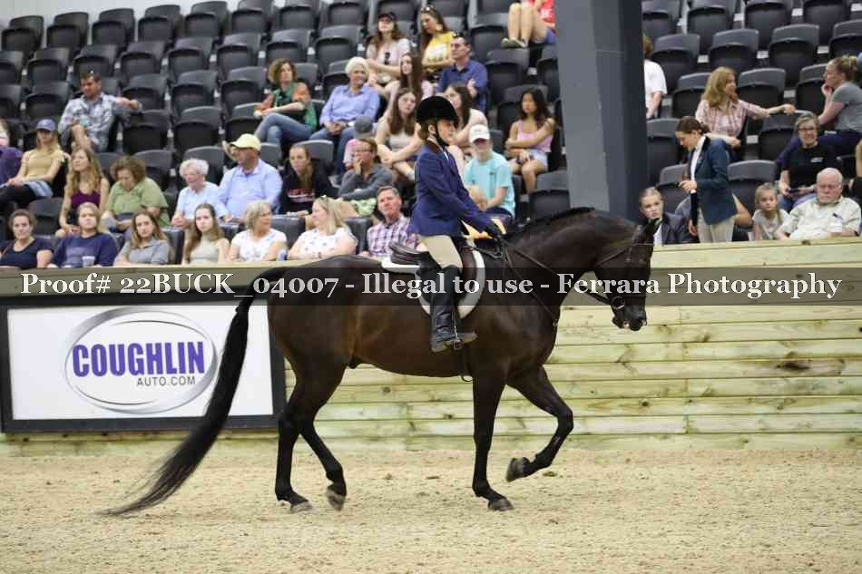 Proof 22BUCK_04007