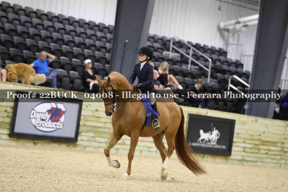 Proof 22BUCK_04008