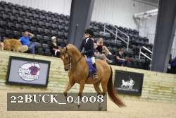 22BUCK_04008 proof