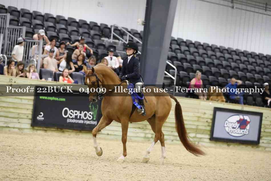 Proof 22BUCK_04009