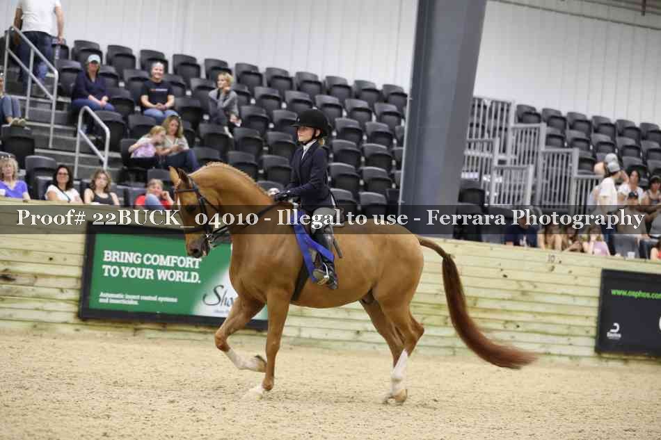 Proof 22BUCK_04010
