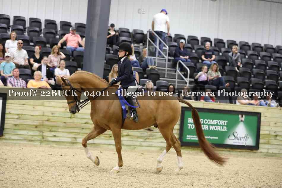 Proof 22BUCK_04011
