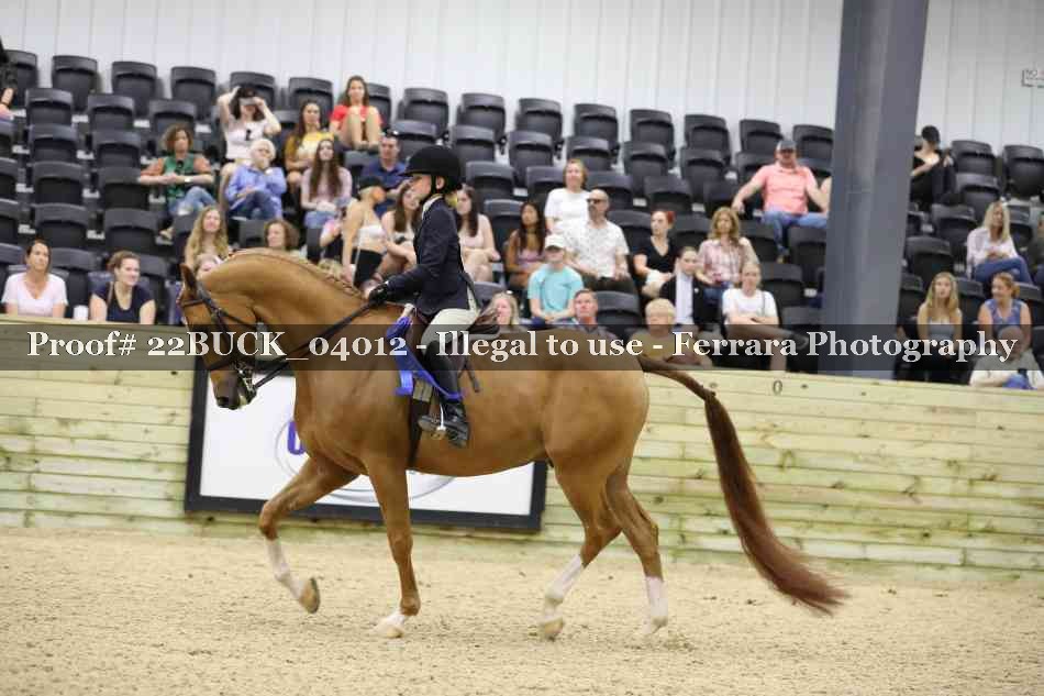 Proof 22BUCK_04012