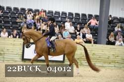 22BUCK_04012 proof