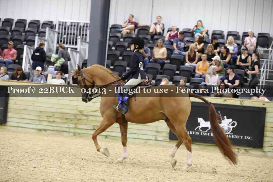 Proof 22BUCK_04013