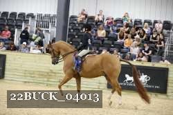 22BUCK_04013 proof
