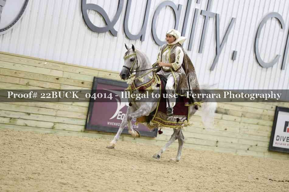 Proof 22BUCK_04014