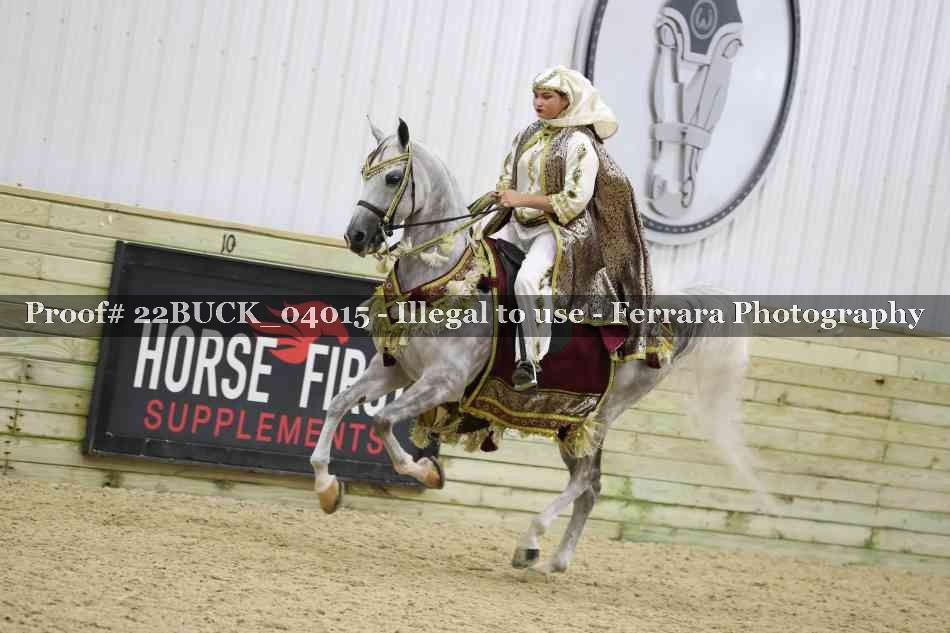 Proof 22BUCK_04015