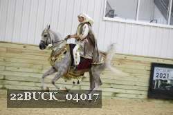 22BUCK_04017 proof