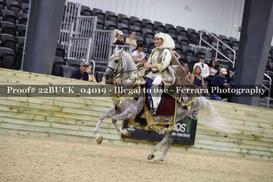 Proof 22BUCK_04019