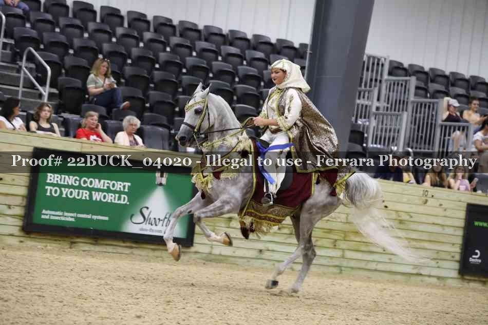 Proof 22BUCK_04020