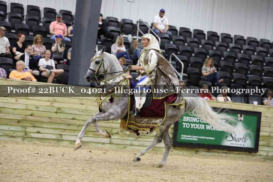 Proof 22BUCK_04021